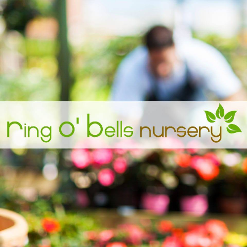 Our Locations 6 ring o bells nursery