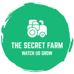The Secret Farm 1 the secret farm